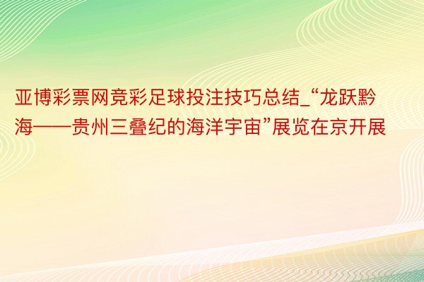 亚博彩票网竞彩足球投注技巧总结_“龙跃黔海——贵州三叠纪的海洋宇宙”展览在京开展