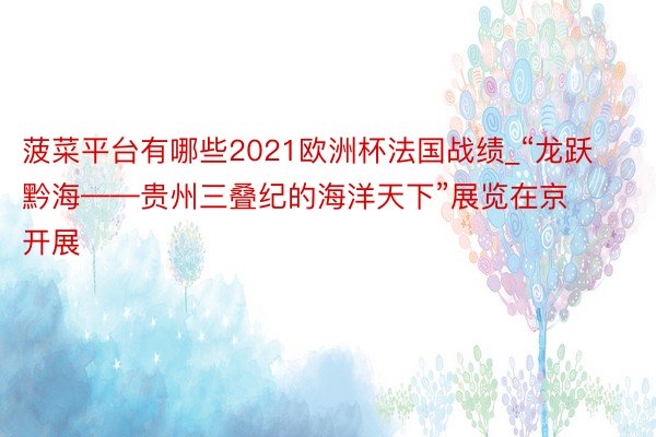 菠菜平台有哪些2021欧洲杯法国战绩_“龙跃黔海——贵州三叠纪的海洋天下”展览在京开展